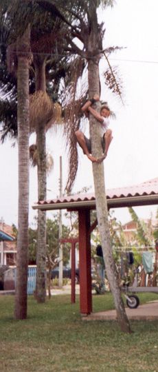 Ser tosco é... subir no coqueiro (2000)